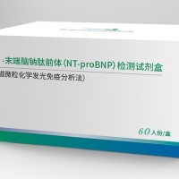 NT-proBNP检测试剂盒（磁微粒化学发光免疫分析法）