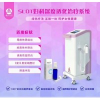 SLOT妇科深度透化臭氧治疗系统