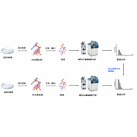 Label Free定量蛋白质组学