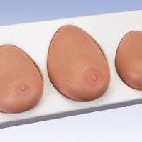 高级乳房检查模型（一套三部件）