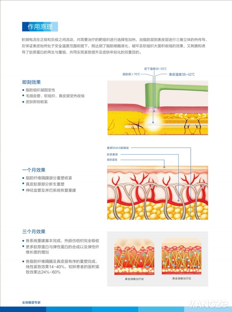 半岛黄金微雕彩页4